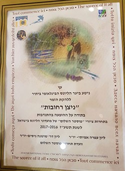 תעודה ליונס